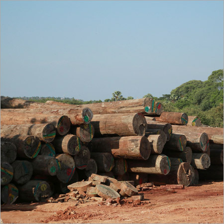 Gurjan Logs