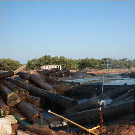 Wooden Logs