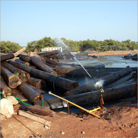 Commercial Timber Logs