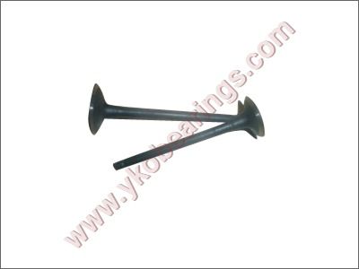 Engine Valve Re 145