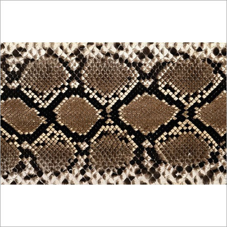Snake Print Scarves