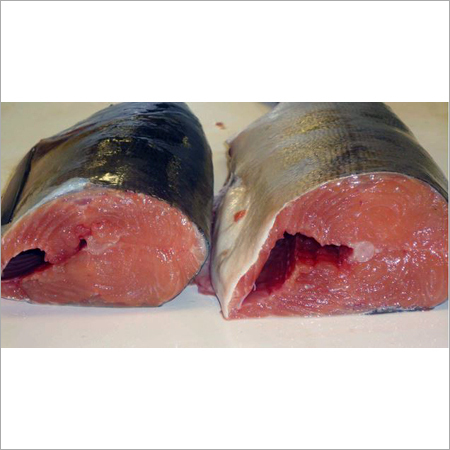 Fresh Salmon