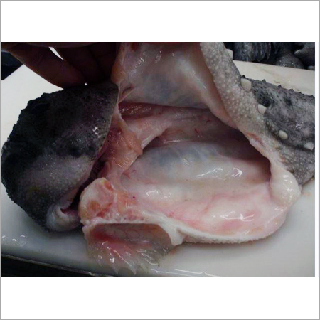 Frozen & Processed Food