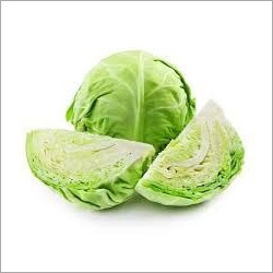 Fresh Cabbage