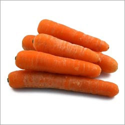 Fresh Carrot