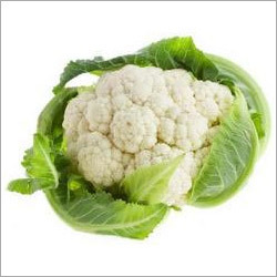 Fresh Cauliflower