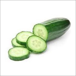 Fresh Cucumber