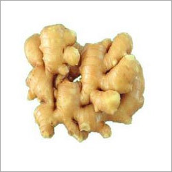 Fresh Ginger