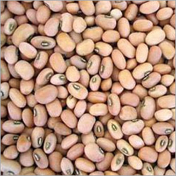 Organic Cowpea