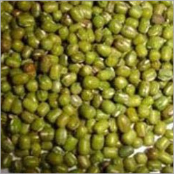 Green Gram Pulses