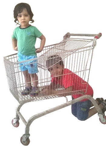 SS SHOPPING TROLLEY