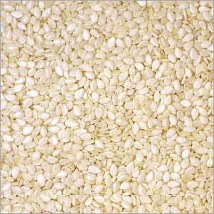 Small White Sesame Seeds