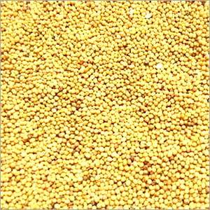 Mustard Seeds