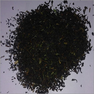 Nepal FOP TEA