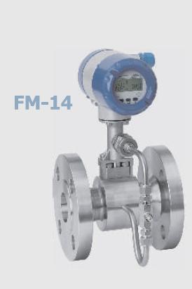 Steam Flow Meter