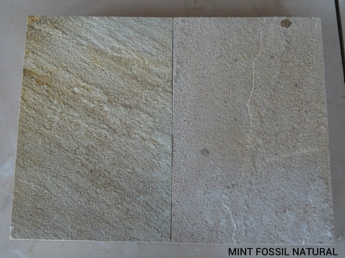 Mint fossil natural sandstone