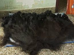 Human hair Supplier
