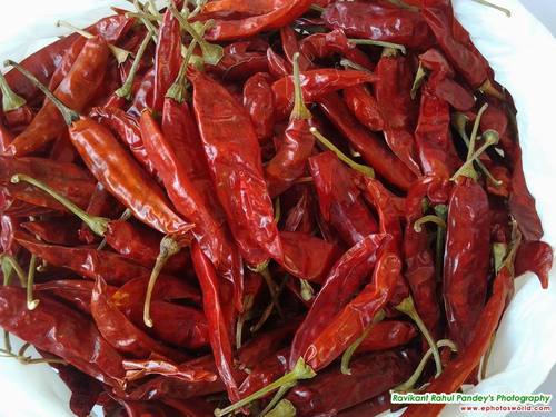 dry-red-chillies