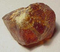 Balsam Canada