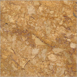 Fossil Gold Marble
