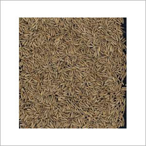 Cumin Seeds