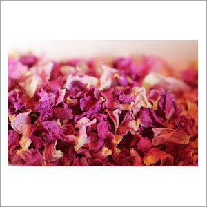 Dry Rose Leaf