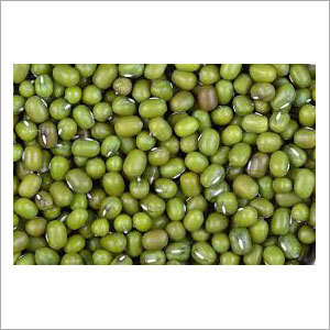 Green Mung Beans