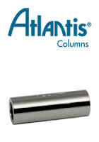 Atlantis Sentry Guard Columns