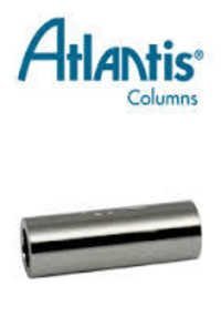 Atlantis Sentry Guard Columns