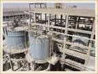 Dcp Plant