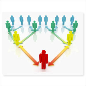 Vendor Management Services