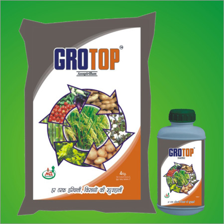 Azospirillum Biofertilizer