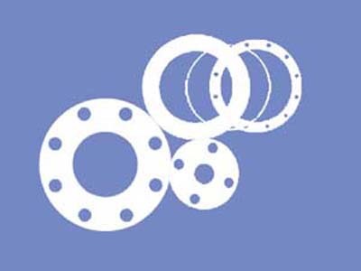 Ptfe gasket