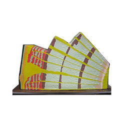 dicot stem anatomy model