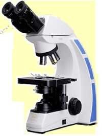 Binocular Pathological Microscope