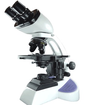 Binocular Pathological Microscope