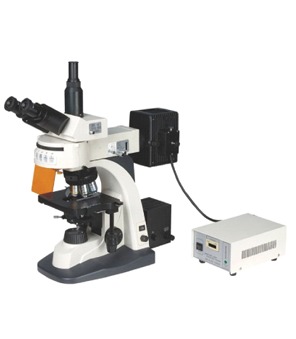 Fluorescent Microscopes By QUALITY SCIENTIFIC & MECHANICAL WORKS