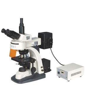 Fluorescent Research Microscopes