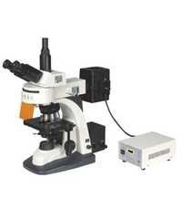 Fluorescent Microscopes