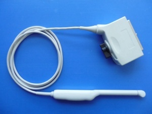Toshiba PVT-661VT Endocavity R10 Ultrasound Transducer Probe