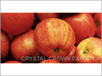 Royal Gala Apples