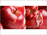 Washington Red Delicious Apples