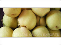 Shandong Pears
