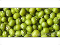Green Mung Beans