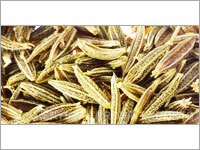 Cumin Seeds