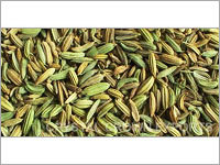 Fennel Seeds