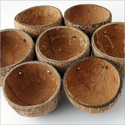 Coconut Shells