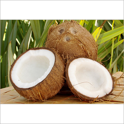Semi Husked Coconuts