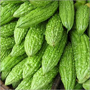 Fresh Bitter Gourd