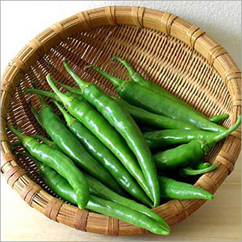 Fresh Green Chillies